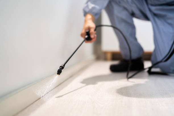 Certified termite inspector examining foundation in Centerville