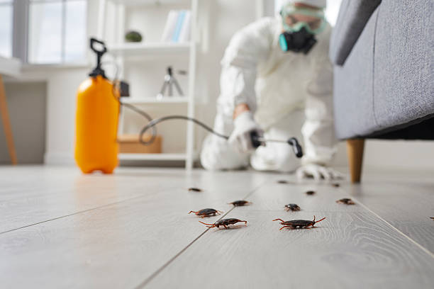 Commercial Kitchen Cockroach Control in Centerville